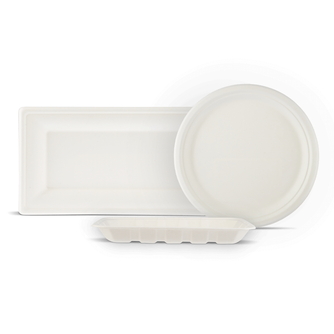 Plate/Trays