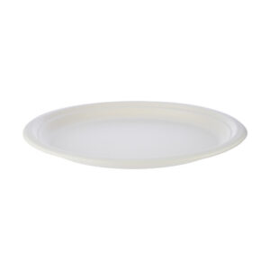 Bio-Degradable Plate 10" Plain