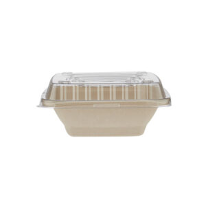Eco Friendly Square Bowl 24Oz